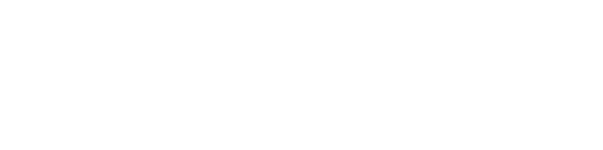 Speed Wakeplate Levers
